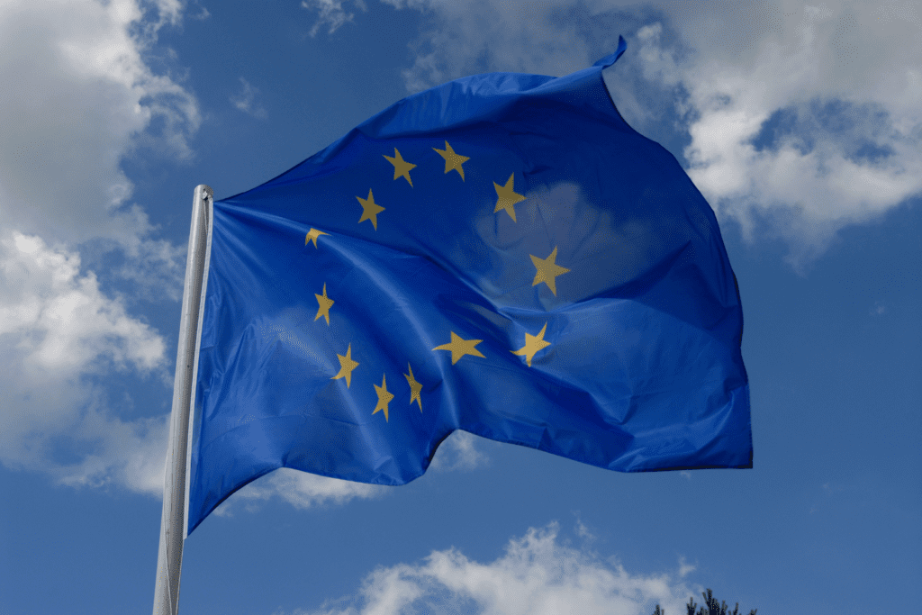 EU’s competitiveness strategy: from crisis management to long-term vision EU’s competitiveness strategy: from crisis management to long-term vision