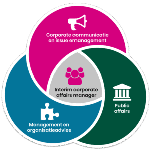 Publyon Interim Management